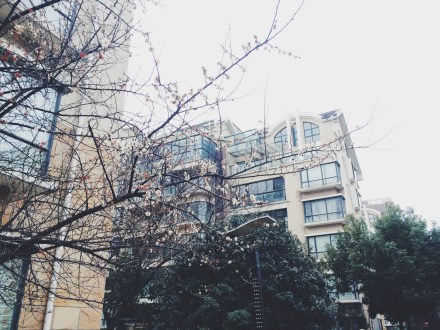 Processed with VSCOcam with f2 preset