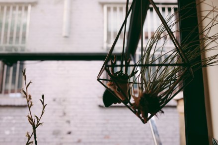 Processed with VSCO with 6 preset